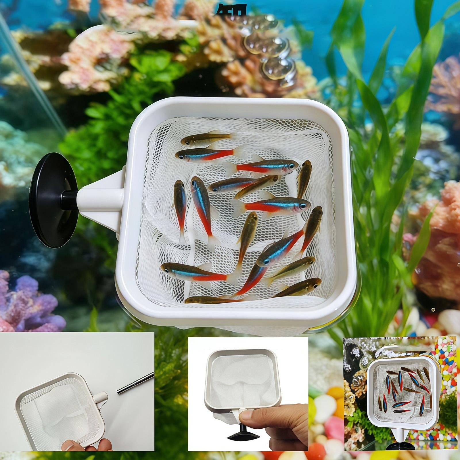 Alat Penyaring Ikan Akuarium J - Aquarium Plant Roots ulasan dan harga