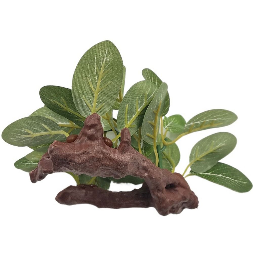 Plastik Hijau Seperti Asli unt - Planted Aquarium Jar ulasan dan harga
