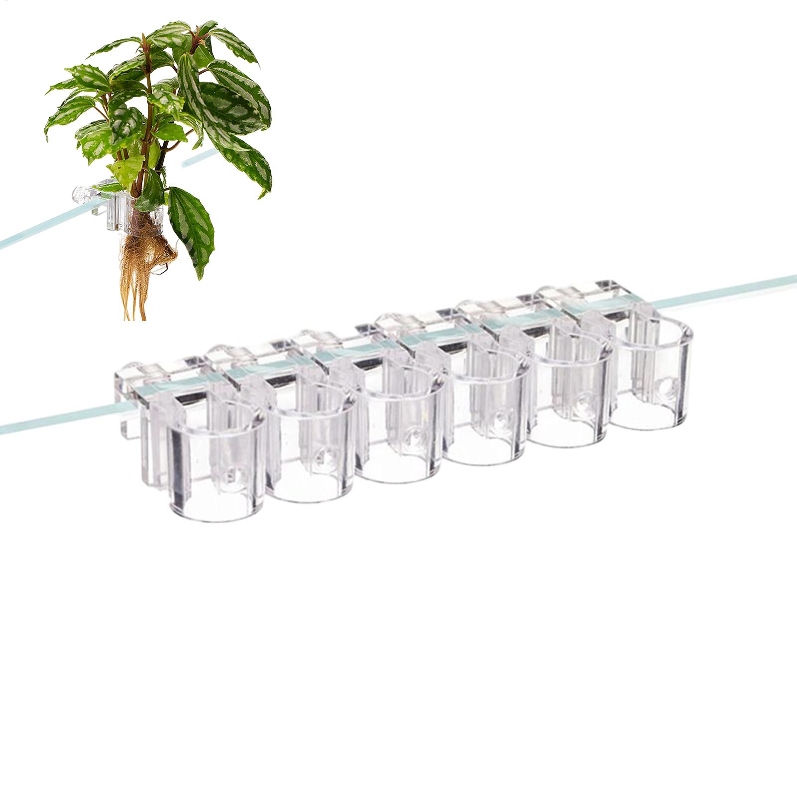 Pot Tanaman Mini untuk Akuariu - Planted Aquarium Mini ulasan dan harga