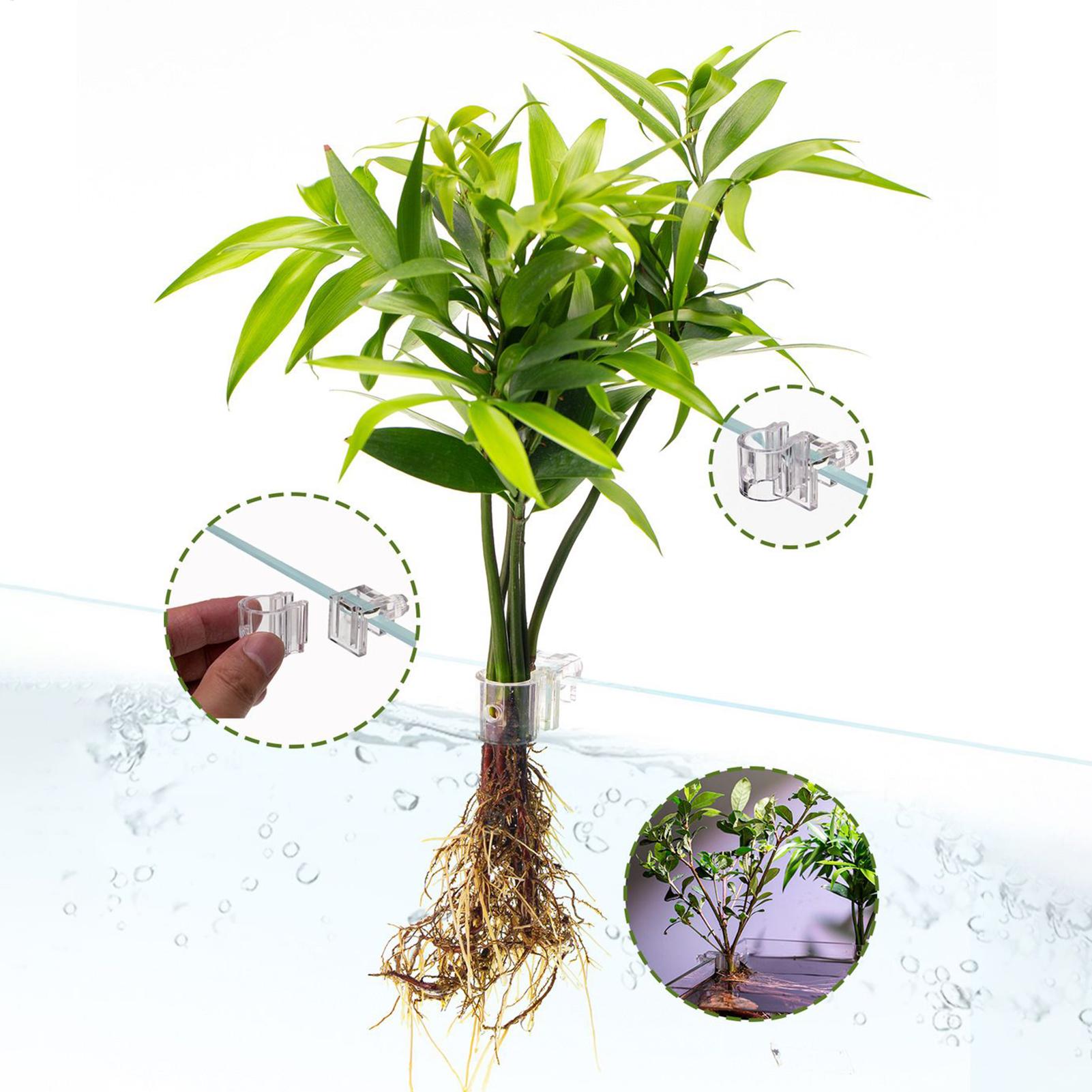 Pot Tanaman Mini untuk Akuariu - Planted Aquarium Mini ulasan dan harga