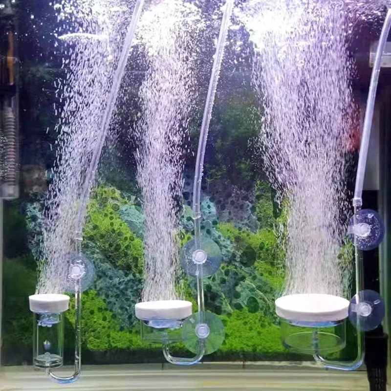 Pompa udara akrilik transparan - Aquarium Sand White ulasan dan harga