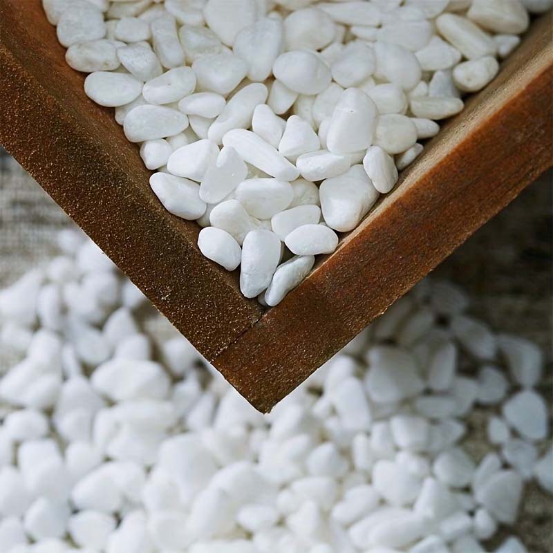 100/200G Batu Dekoratif Putih- - Aquarium Sand White ulasan dan harga