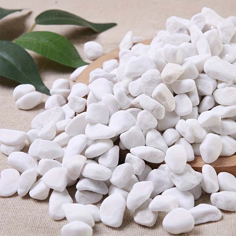 100/200G Batu Dekoratif Putih- - Aquarium Sand White ulasan dan harga