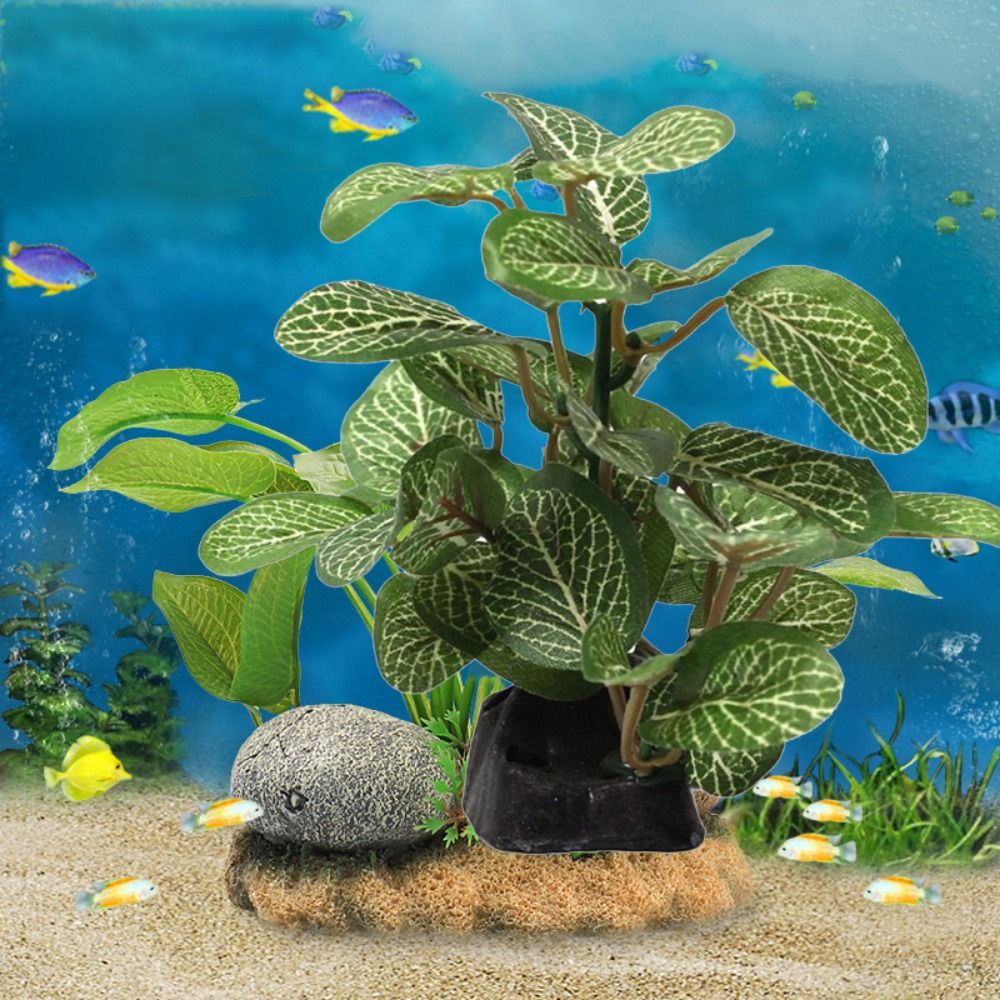 Plastik Sutra Hijau untuk Deko - Planted Aquarium Jar ulasan dan harga