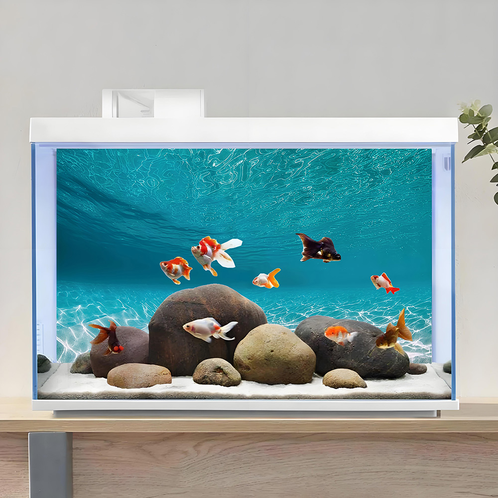 Pasir putih berkilau, Lukisan  - Aquarium Sand White ulasan dan harga