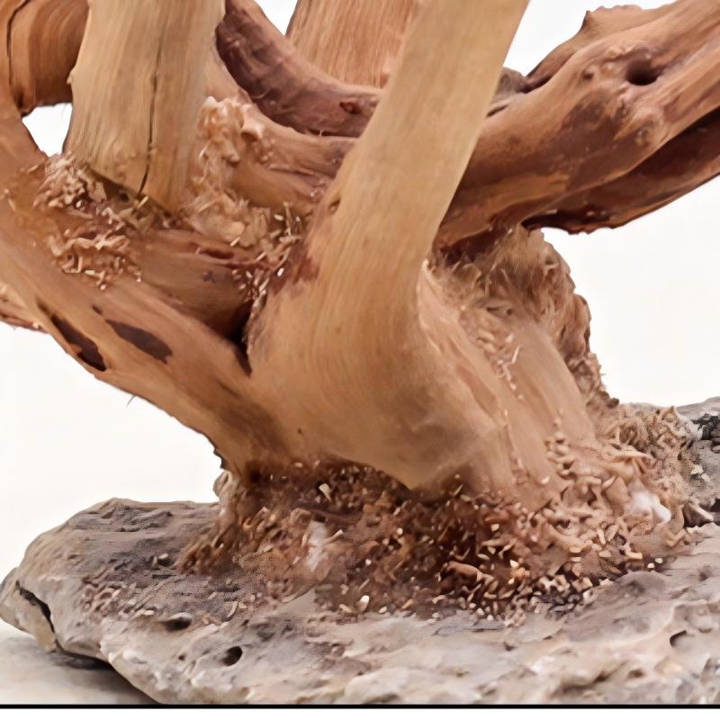 1 Buah Hiasan Kayu Lanskap Aku - Aquarium Plant Roots ulasan dan harga