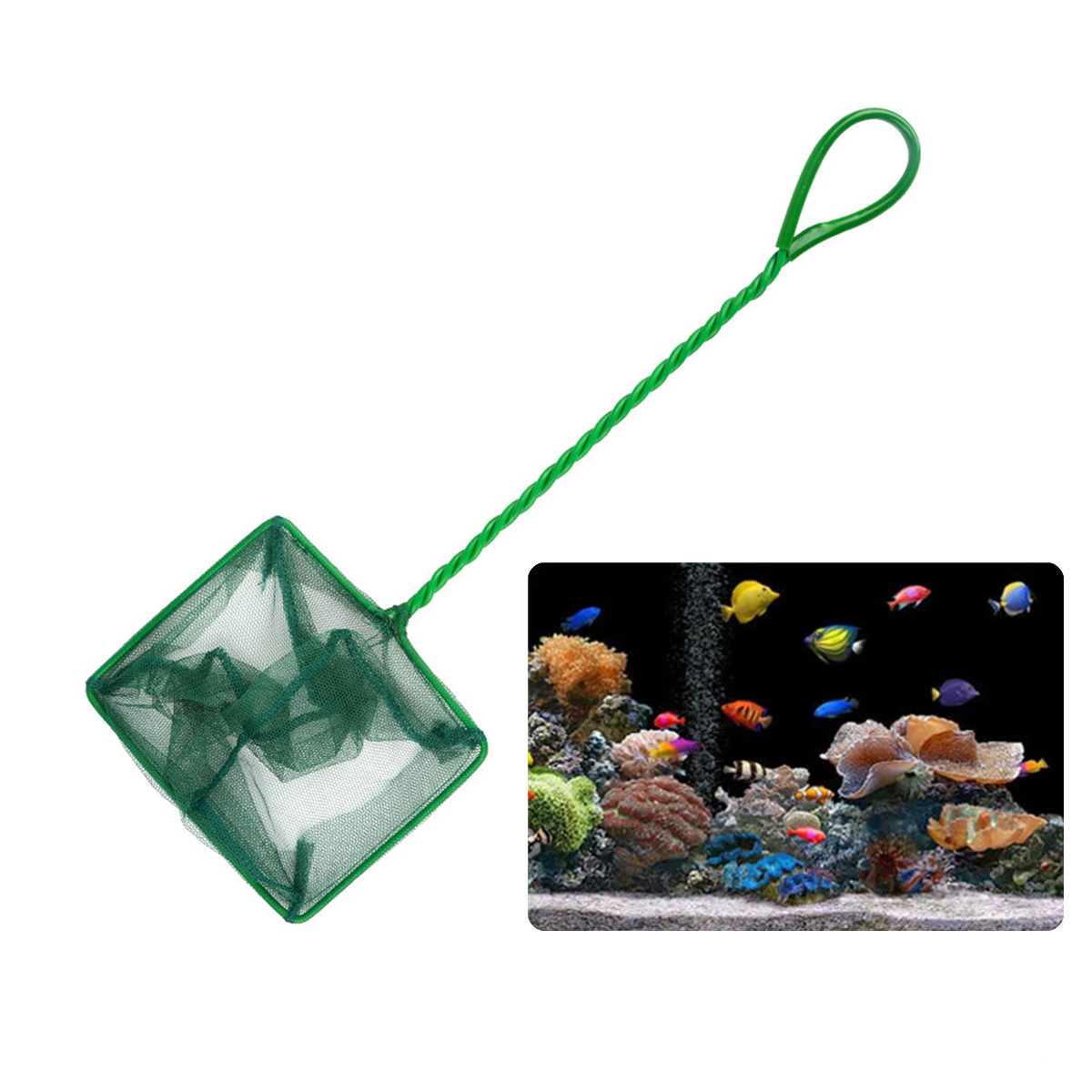 Jaring ikan hijau nilon portab - Planted Aquarium Cleaning ulasan dan harga