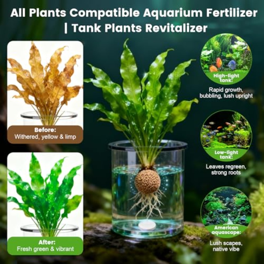 Root Tabs, Pupuk Tanaman Akuar - Aquarium Plant Root Fertilizer ulasan dan harga
