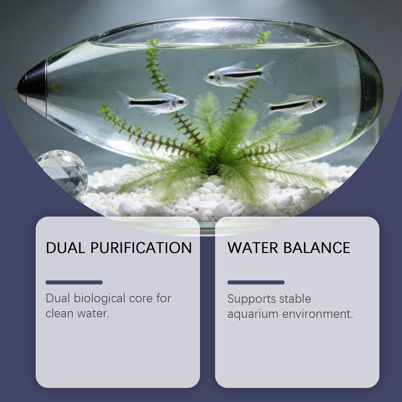 Tablet Penghilang Alga untuk A - Planted Aquarium Algae Control ulasan dan harga