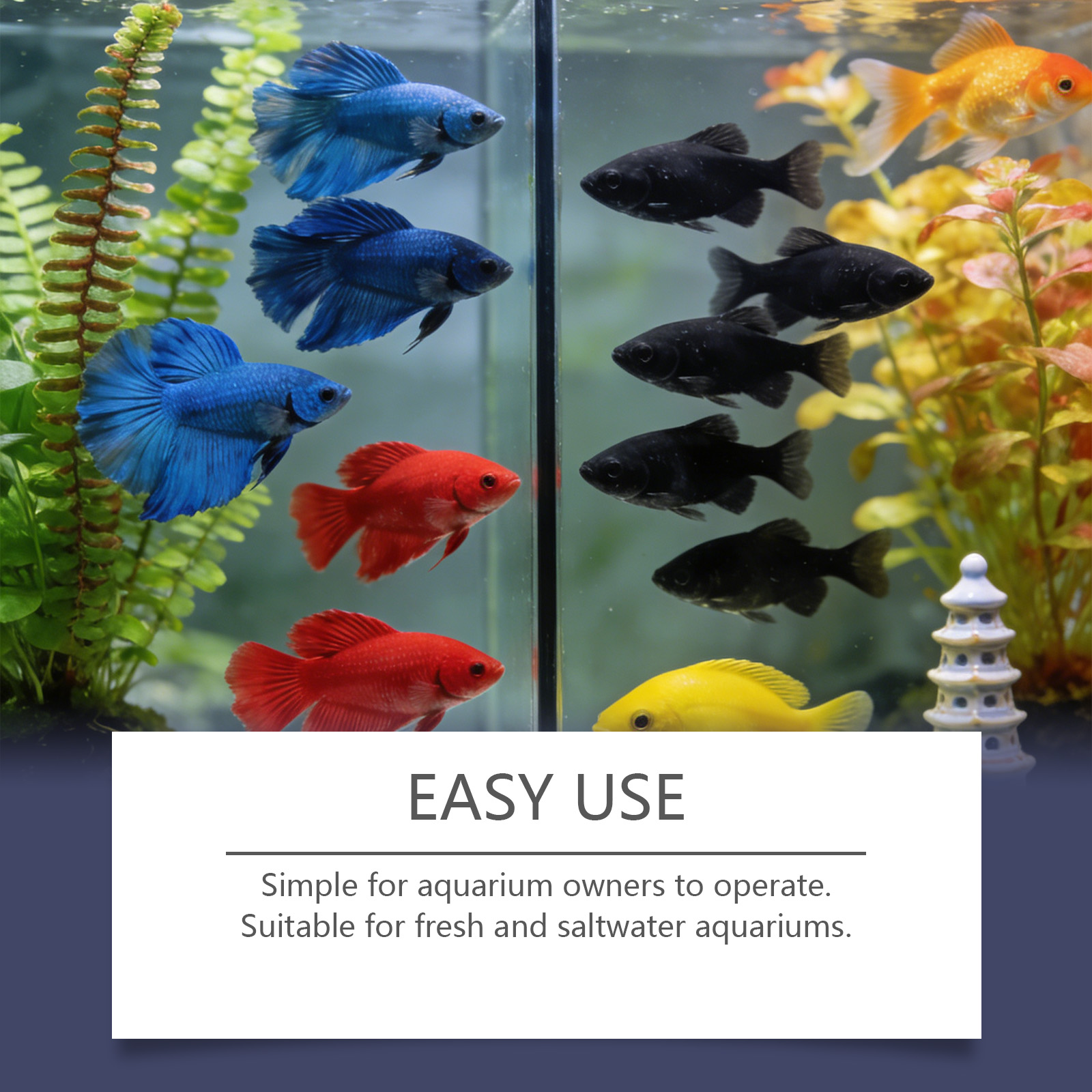 Tablet Penghilang Alga untuk A - Planted Aquarium Algae Control ulasan dan harga