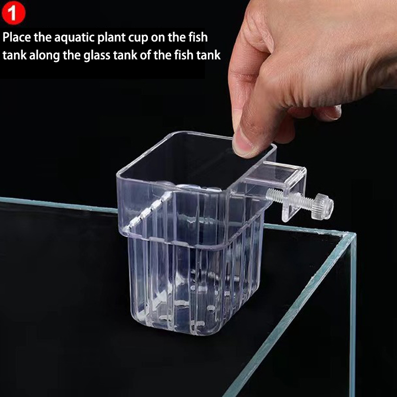 Akuarium ikan multifungsi cang - Planted Aquarium With Fish ulasan dan harga