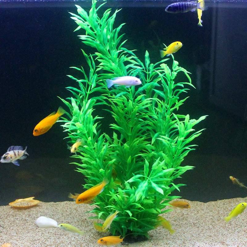 50CM Kolam Ikan Buatan Tanaman - Aquarium Plant Roots ulasan dan harga
