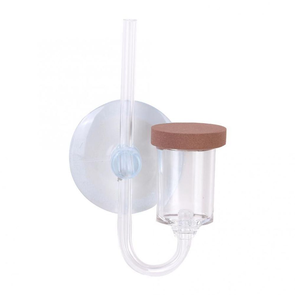 Akuarium Mini Akrilik Tanaman  - Planted Aquarium Mini ulasan dan harga
