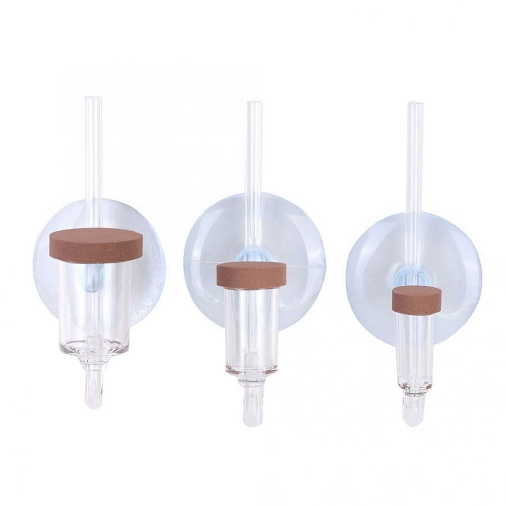 Akuarium Mini Akrilik Tanaman  - Planted Aquarium Mini ulasan dan harga