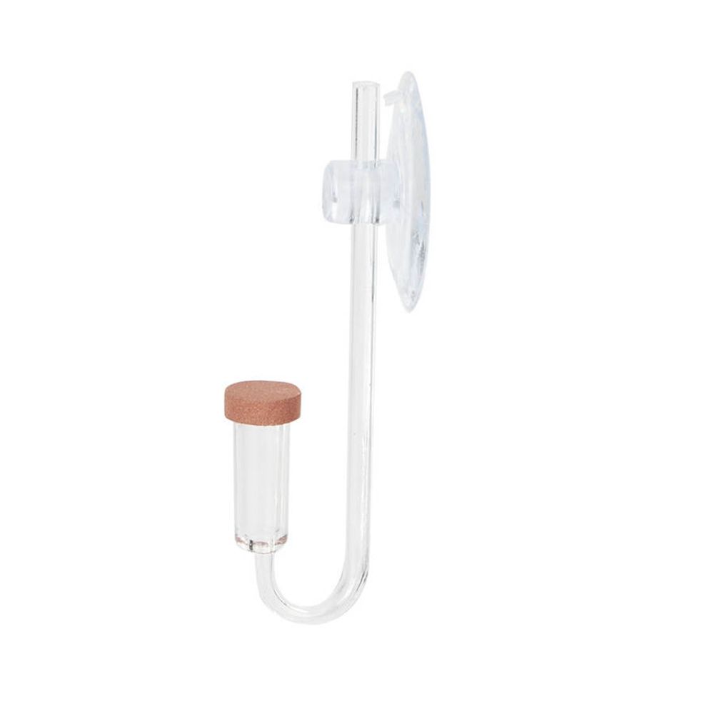 Akuarium Mini Akrilik Tanaman  - Planted Aquarium Mini ulasan dan harga
