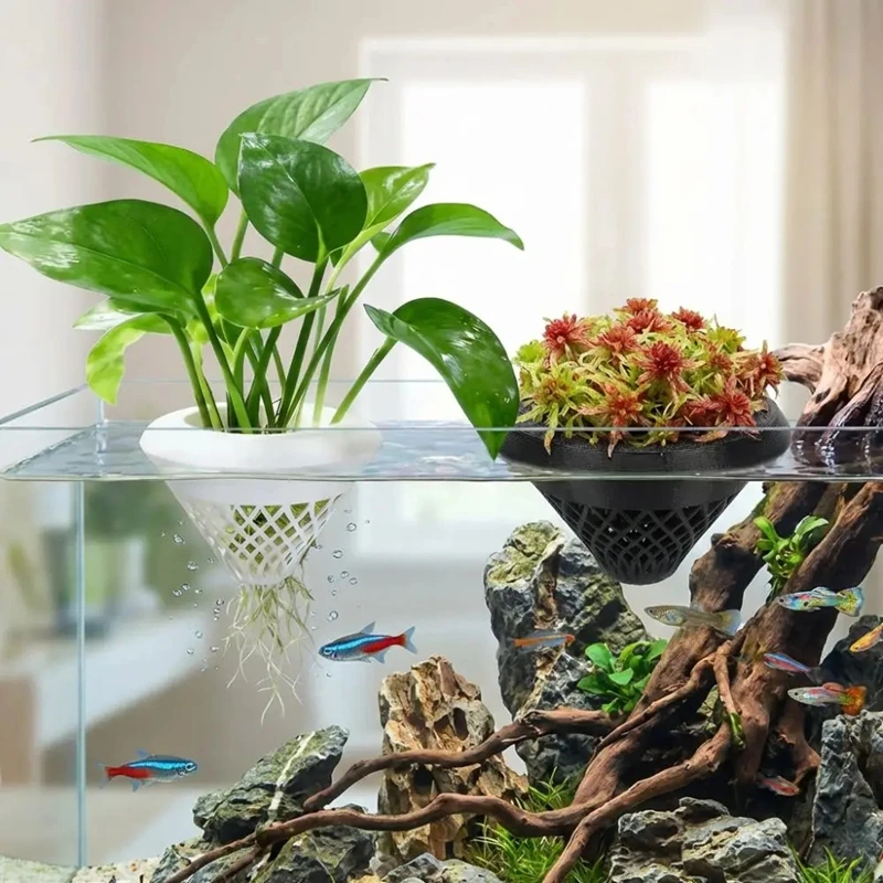 Pot Tanaman Akuarium Mengamban - Planted Aquarium Jar ulasan dan harga