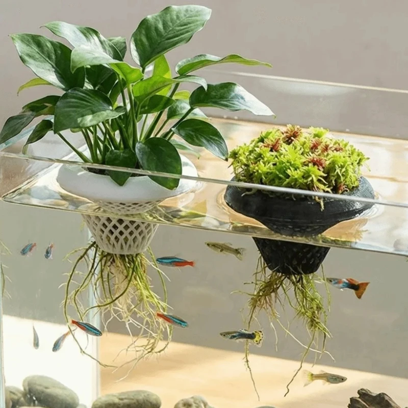 Pot Tanaman Akuarium Mengamban - Planted Aquarium Jar ulasan dan harga