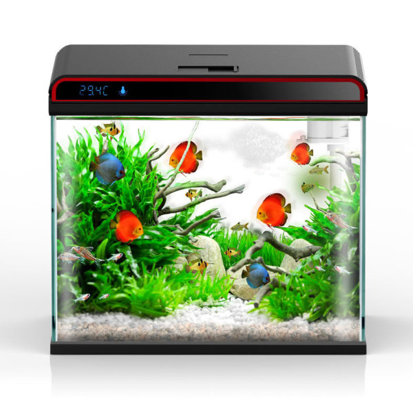 Kondisioner Air Akuarium Sunsu - Planted Aquarium Algae Control ulasan dan harga