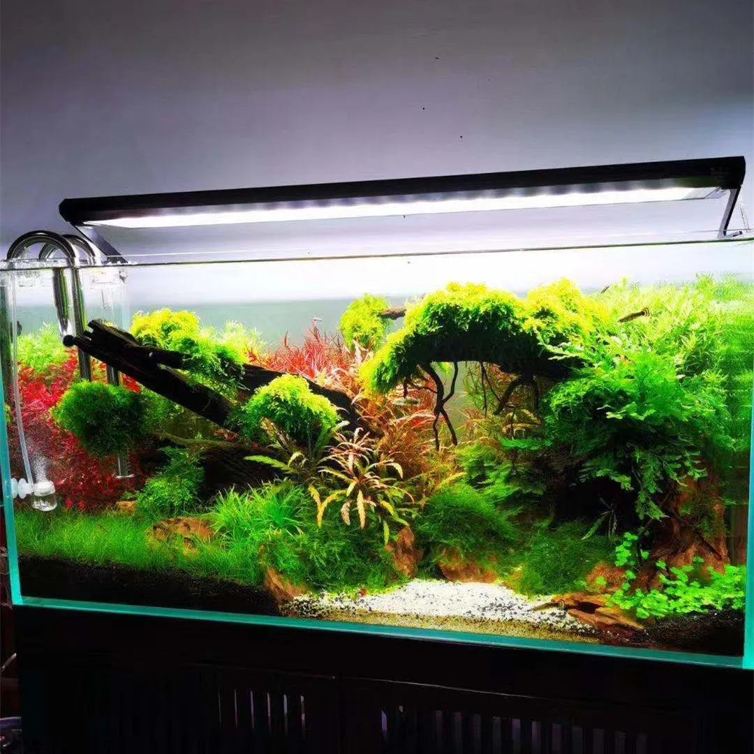 Lampu Pertumbuhan Tanaman Akua - Aquarium Plant On Top ulasan dan harga