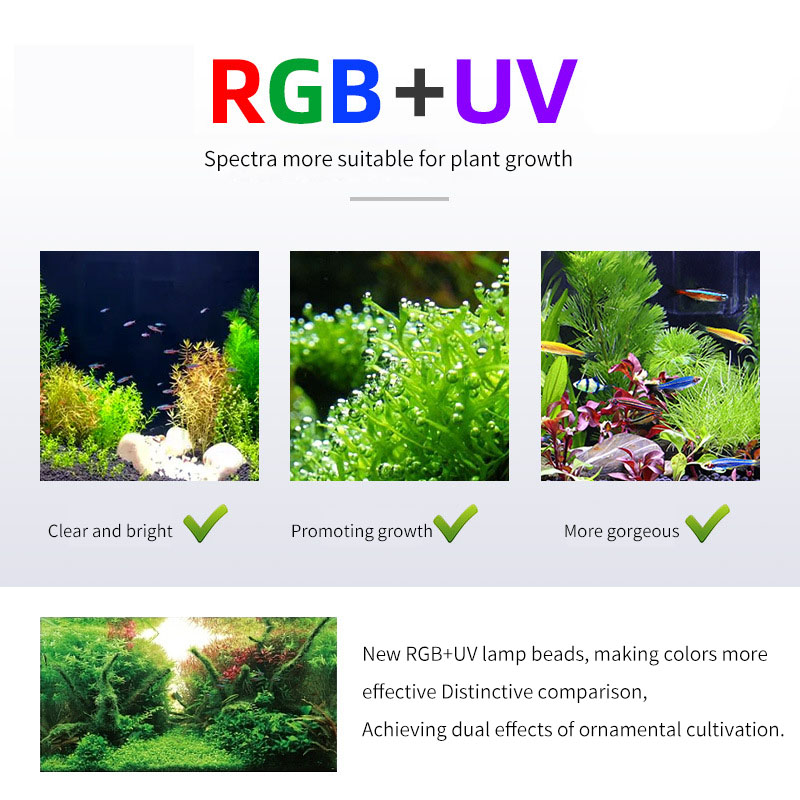 Lampu Pertumbuhan Tanaman Akua - Aquarium Plant On Top ulasan dan harga