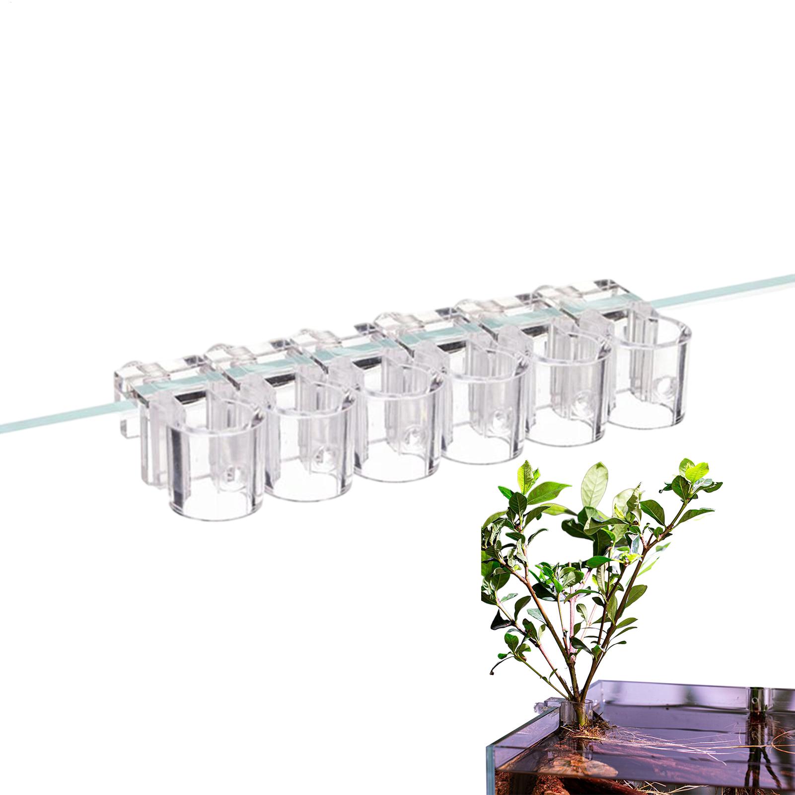 Penyangga Tanaman Akuarium, Br - Aquarium Plant ulasan dan harga