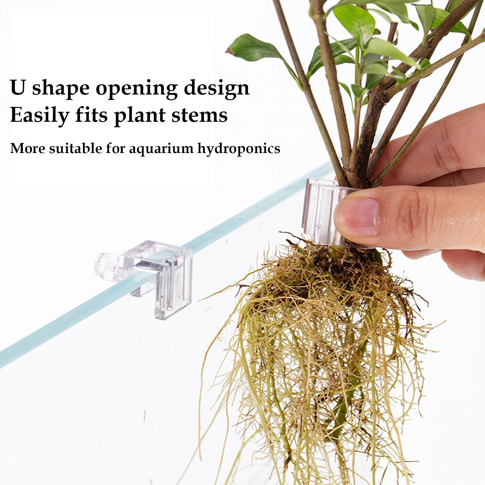Penyangga Tanaman Akuarium, Br - Aquarium Plant ulasan dan harga