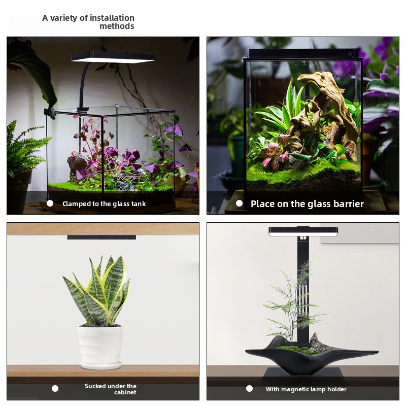 Lampu Akuarium LED Magnetik We - Planted Aquarium Jar ulasan dan harga